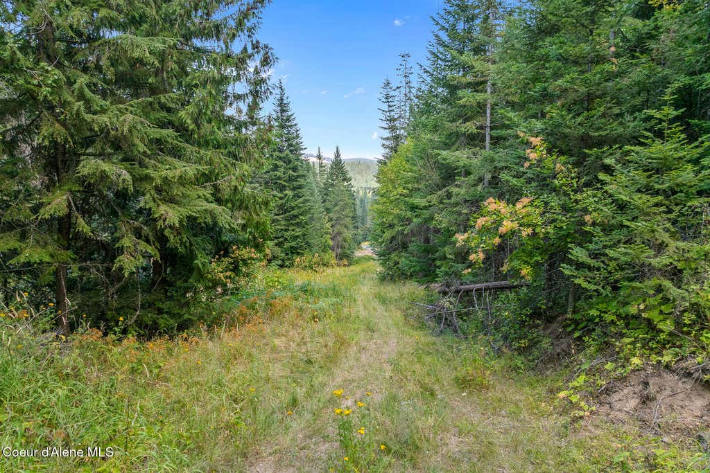 Photo of 3572 Moose Canyon Canyon, Coeur dAlene, ID 83814 (MLS # 26-8565)