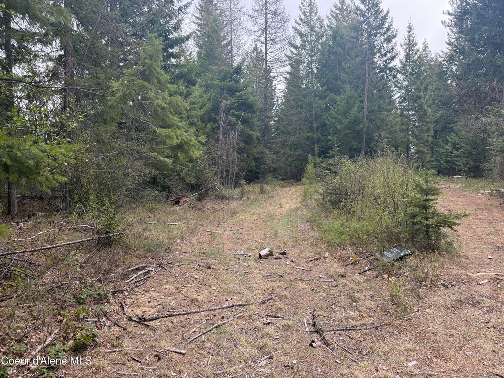 Photo of NKA Elderberry Road Road, Bonners Ferry, ID 83805 (MLS # 26-4009)