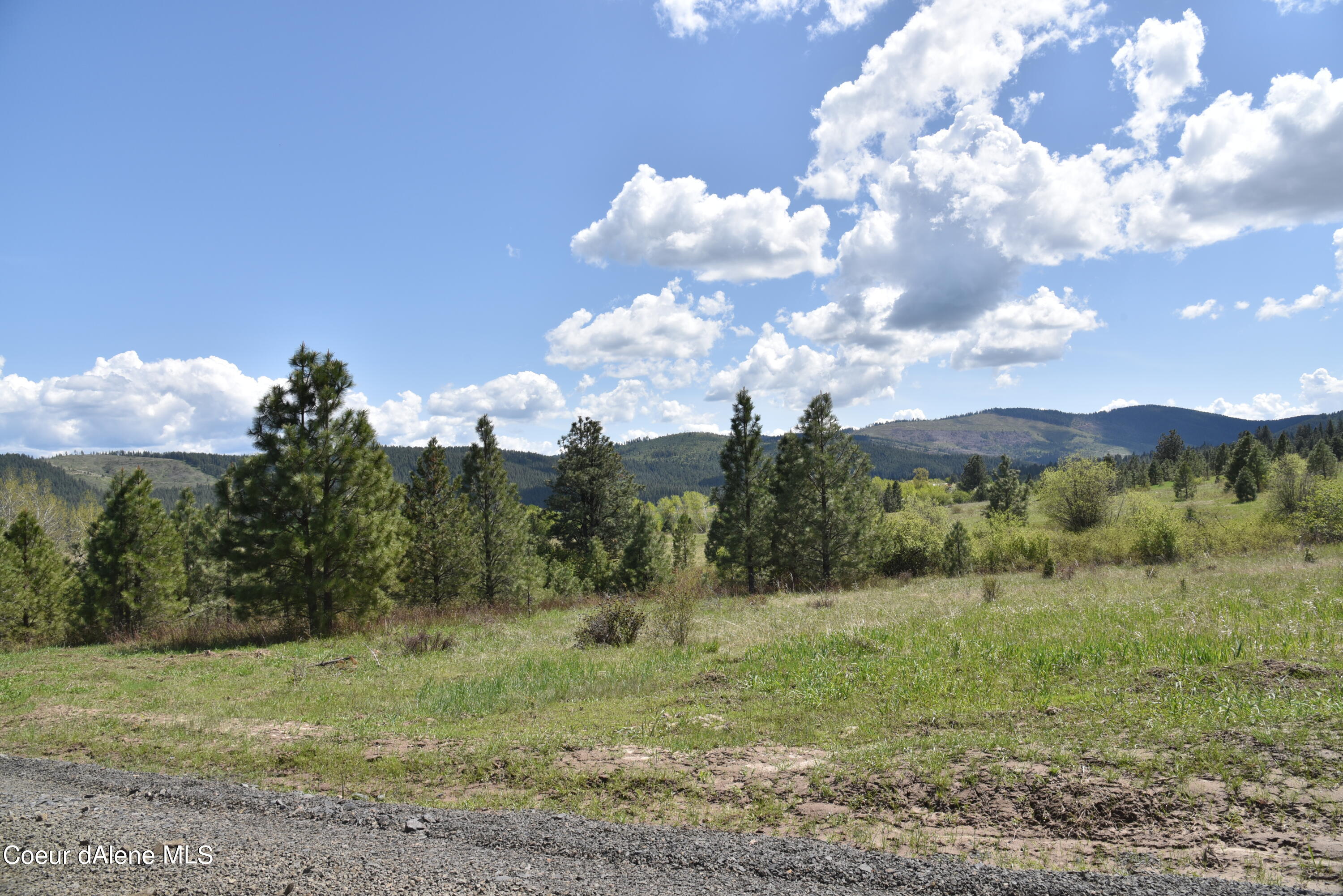 Lot 12 Vine Maple Rd, Desmet, Idaho image 17