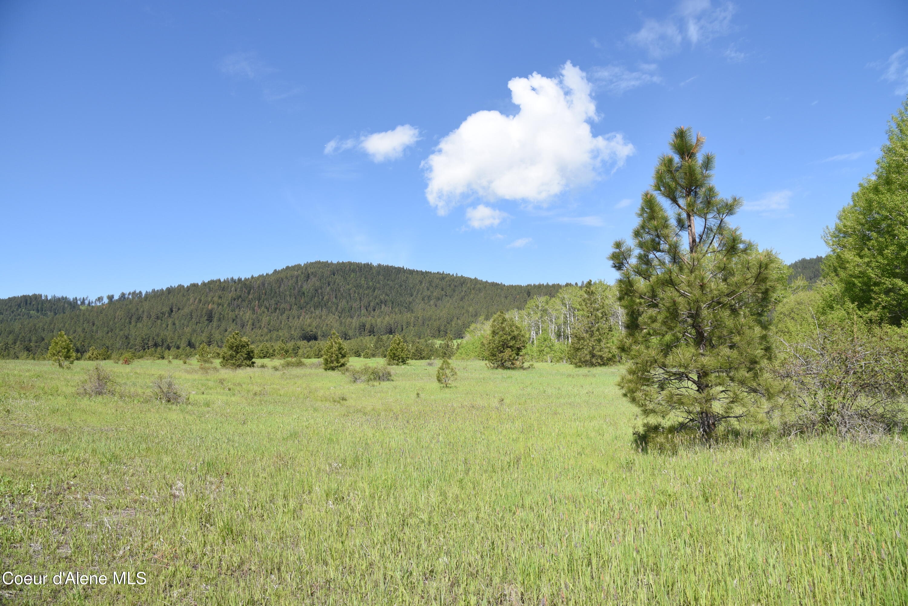 Lot 12 Vine Maple Rd, Desmet, Idaho image 1