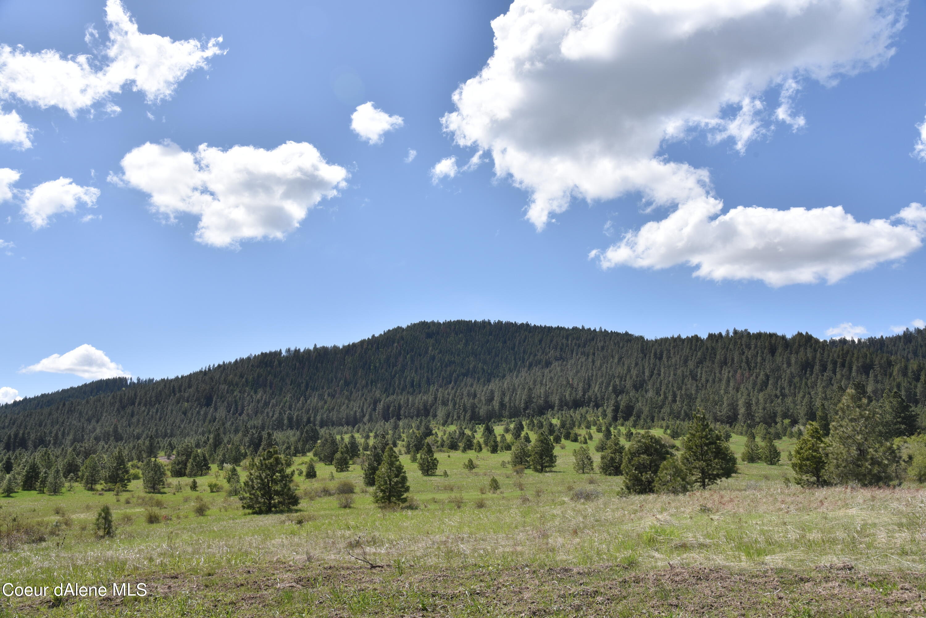 Lot 12 Vine Maple Rd, Desmet, Idaho image 15