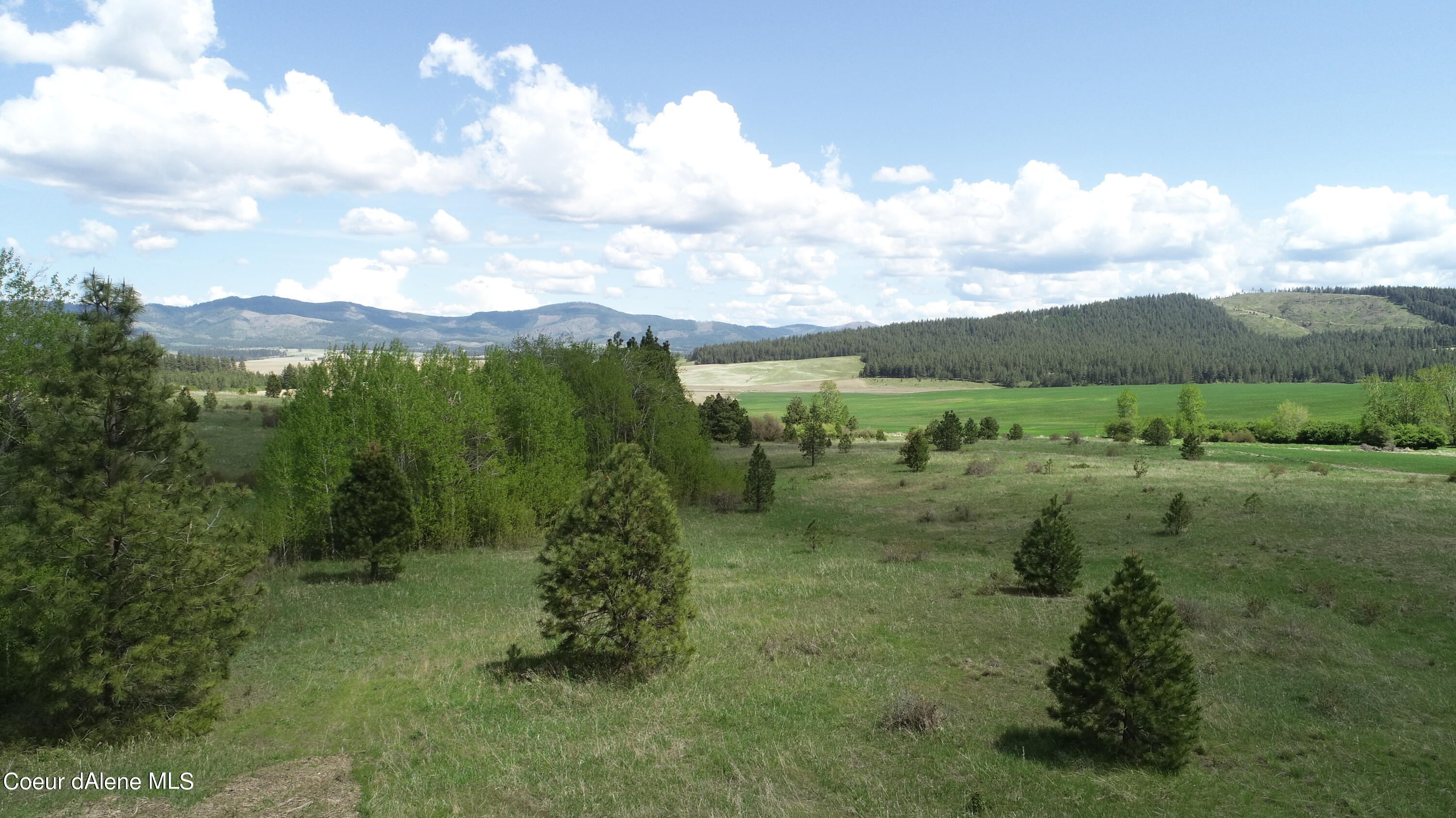 Lot 12 Vine Maple Rd, Desmet, Idaho image 2