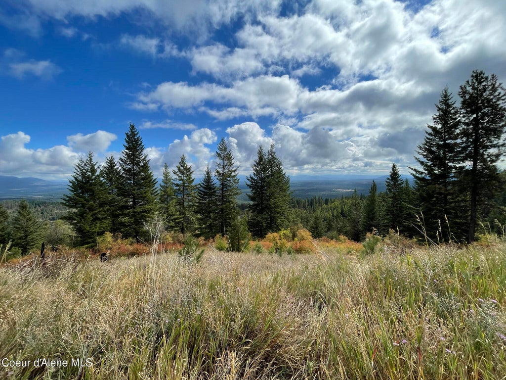 Photo of NKA Glad Lane Lane, Spirit Lake, ID 83869 (MLS # 26-7714)
