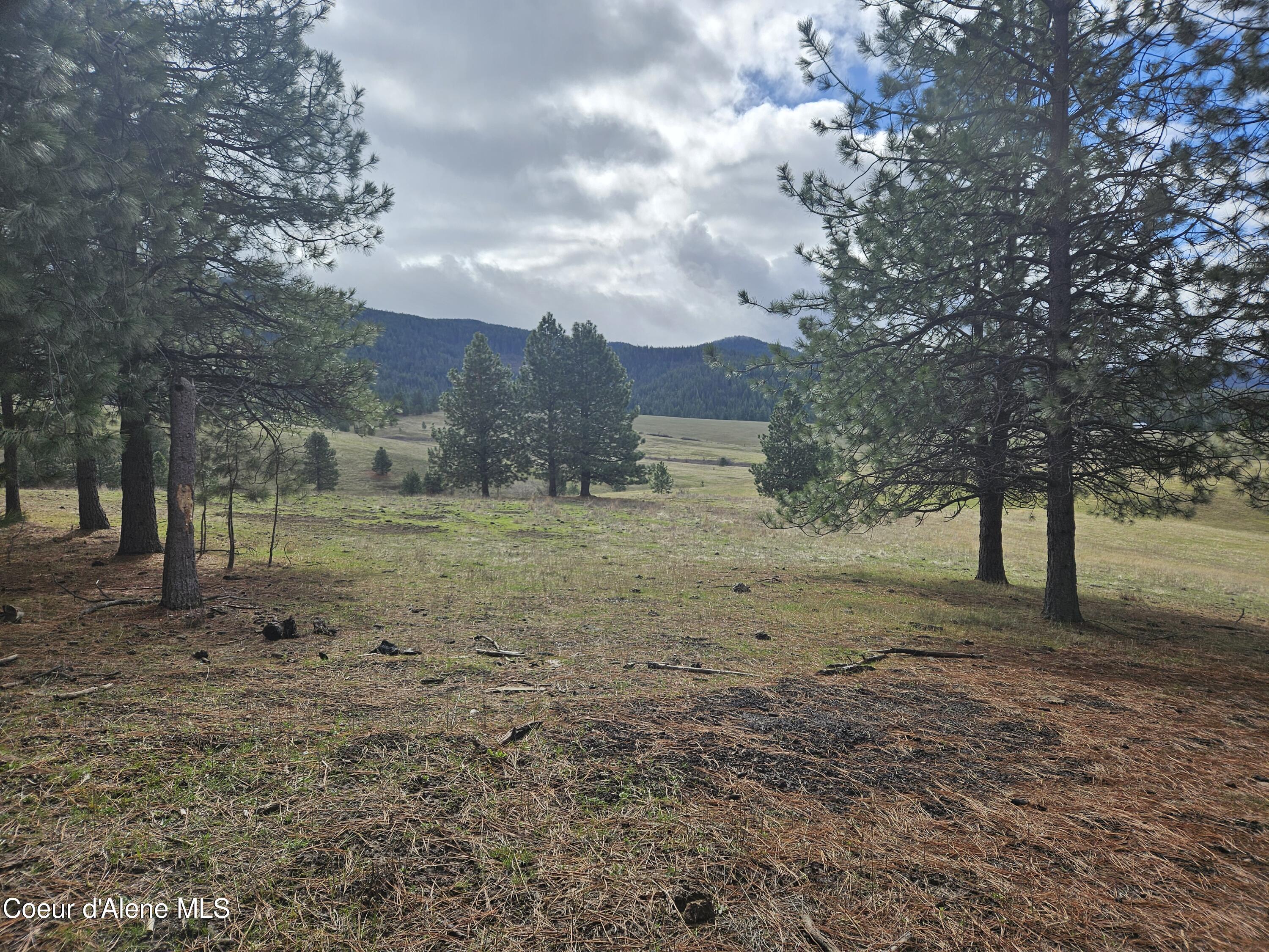 000 Wild Sky Rd, Tensed, Idaho image 32