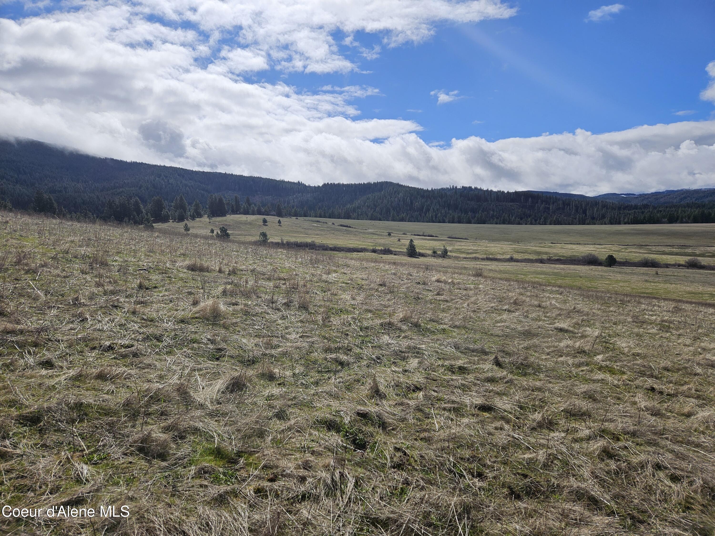 000 Wild Sky Rd, Tensed, Idaho image 18