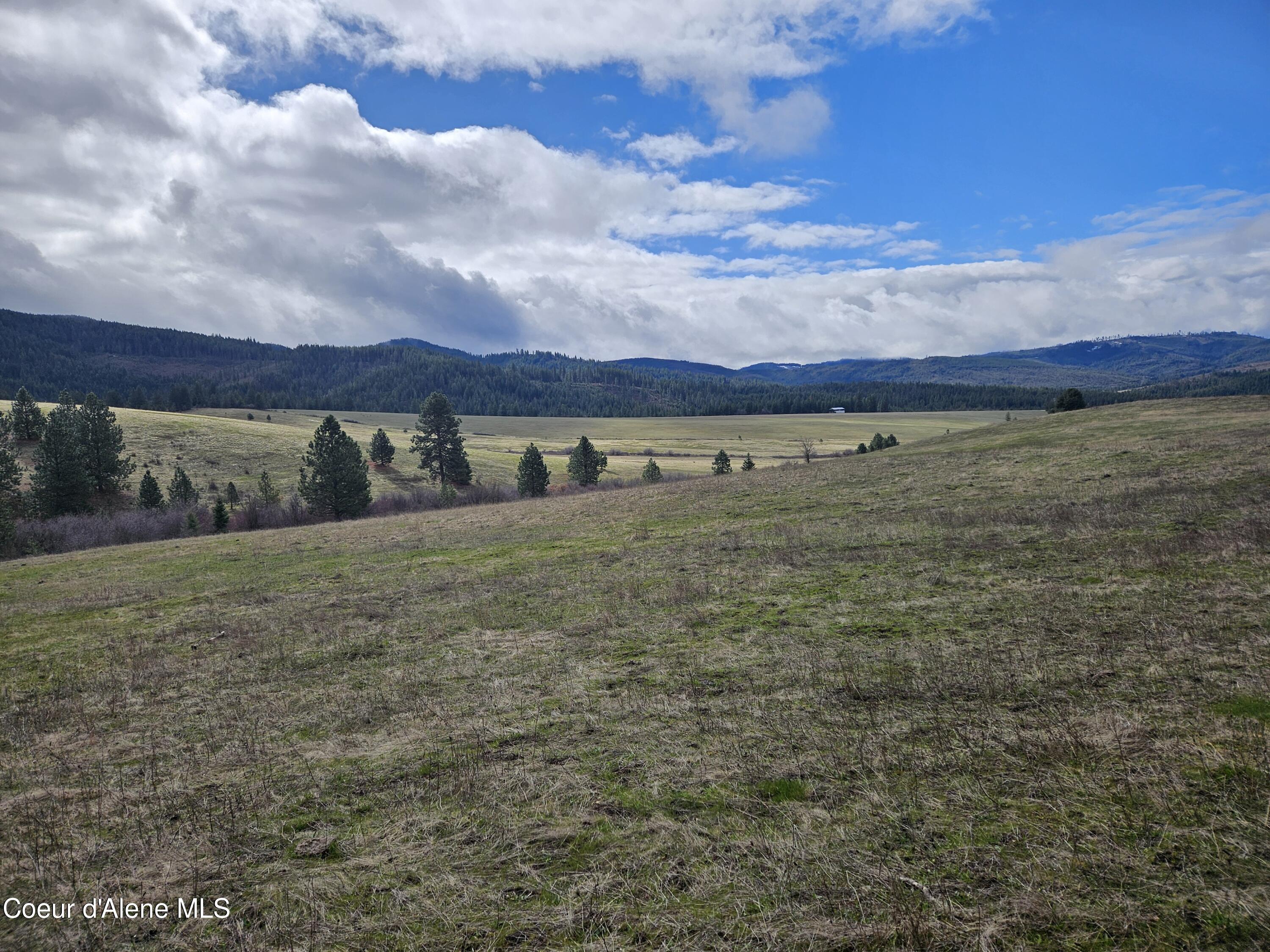 000 Wild Sky Rd, Tensed, Idaho image 31