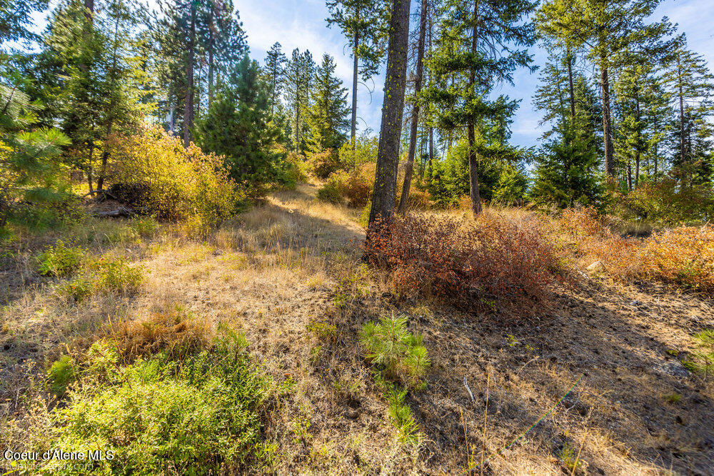 Coeur d'Alene, Idaho 83814, United States, ,Land,Active,194759