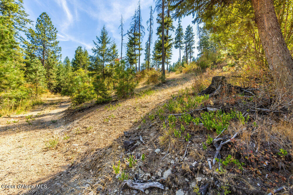 Coeur d'Alene, Idaho 83814, United States, ,Land,Active,194759