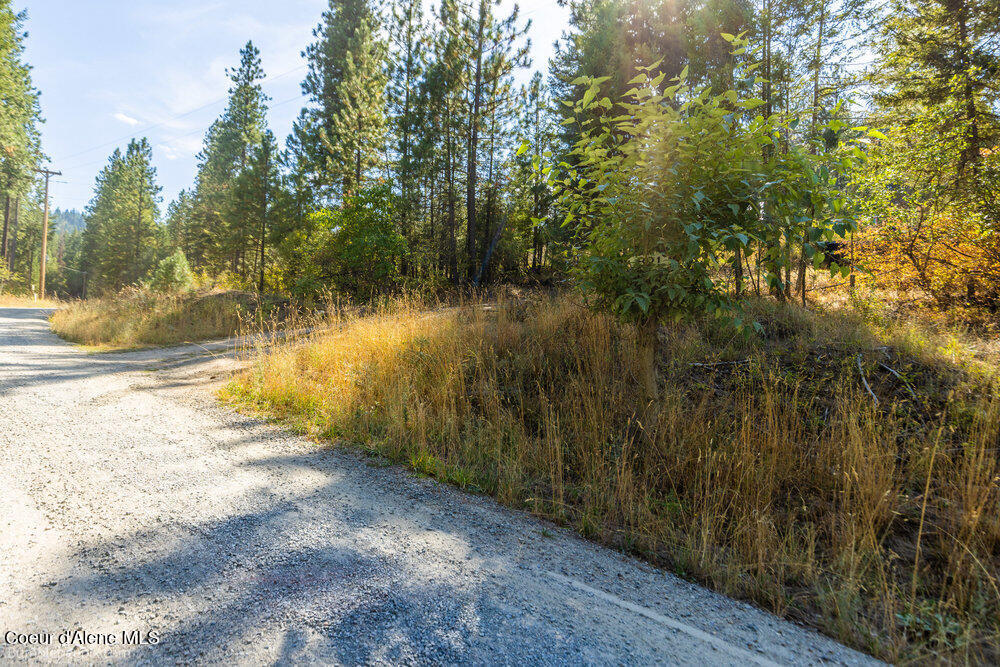 Coeur d'Alene, Idaho 83814, United States, ,Land,Active,194759