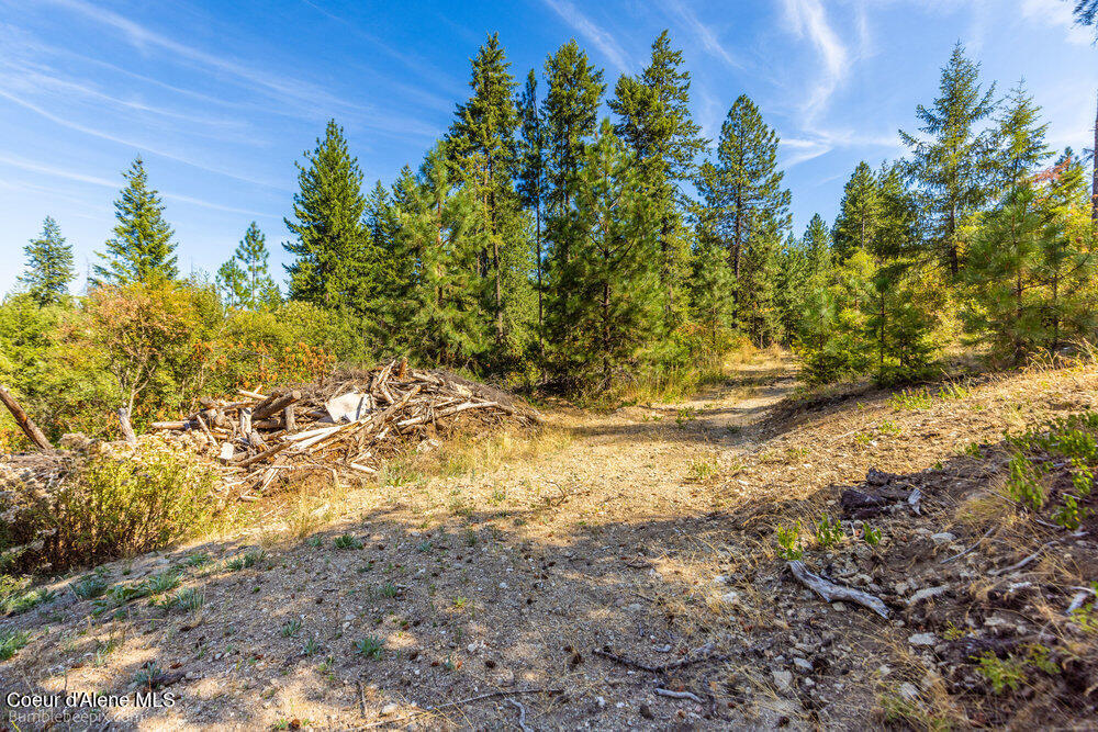 Coeur d'Alene, Idaho 83814, United States, ,Land,Active,194759