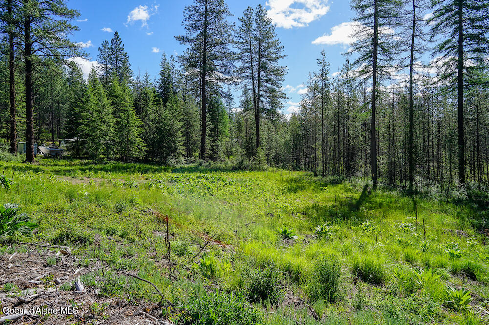 NKA Meadowland Drive, Blanchard, Alaska image 20