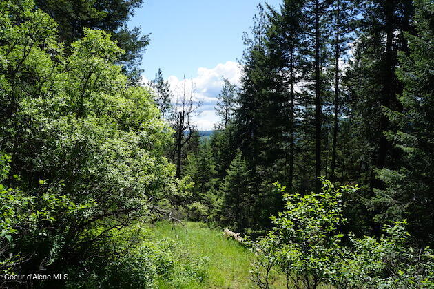 NKA Meadowland Drive, Blanchard, Alaska image 9