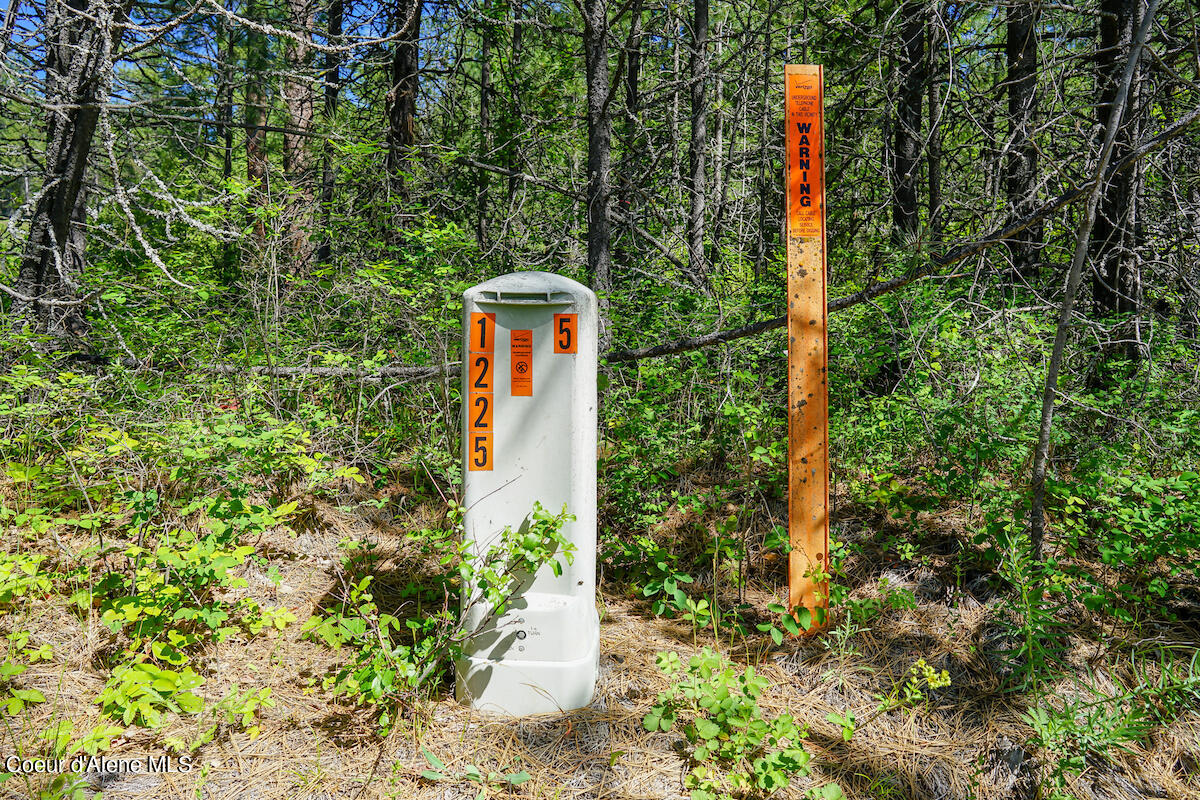 NKA Meadowland Drive, Blanchard, Alaska image 15