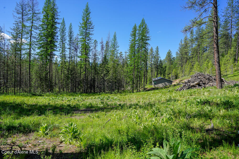 NKA Meadowland Drive, Blanchard, Alaska image 19
