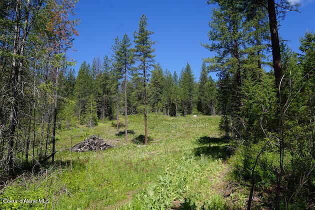 NKA Meadowland Drive, Blanchard, Alaska image 10