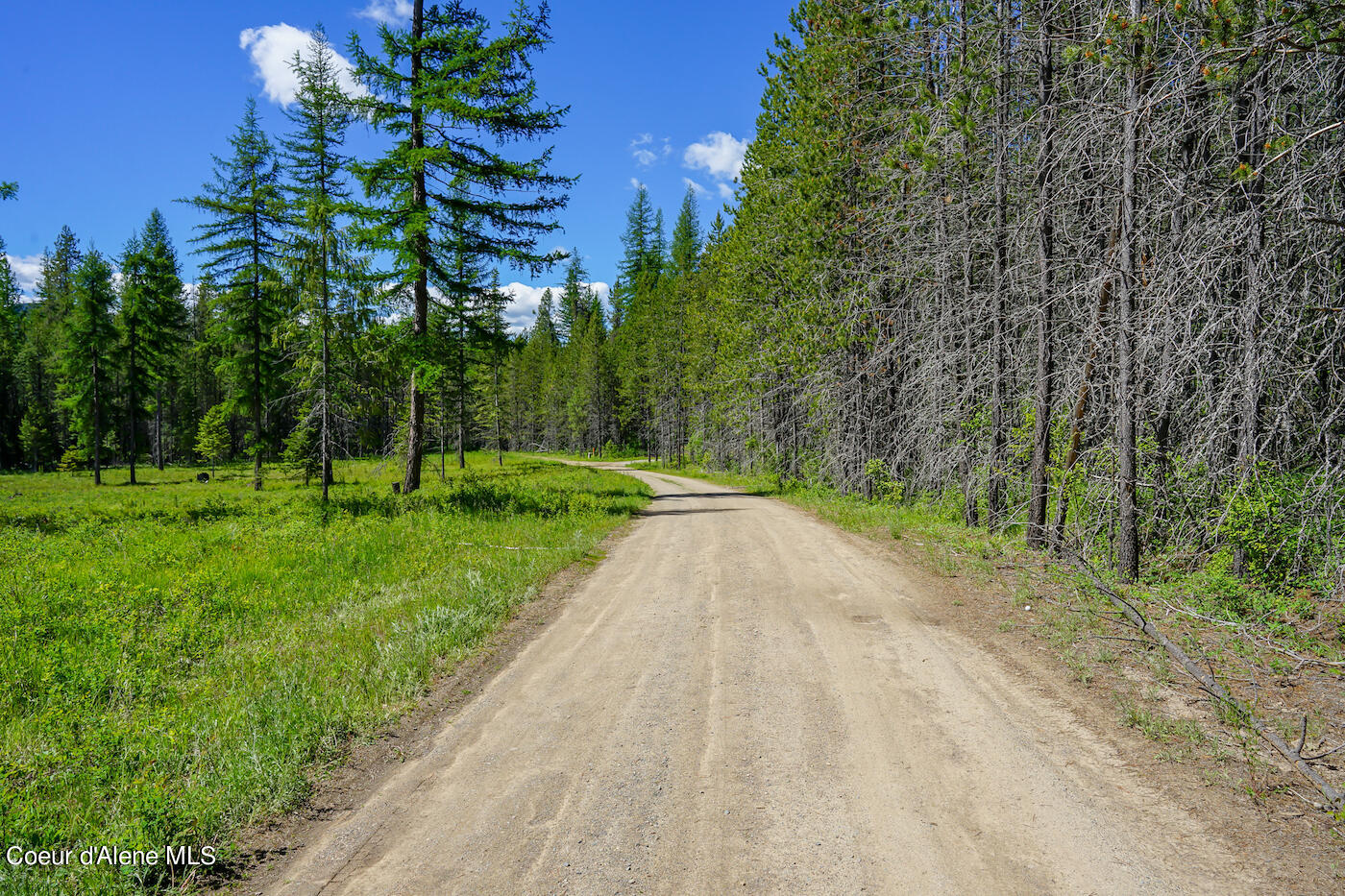 NKA Meadowland Drive, Blanchard, Alaska image 21