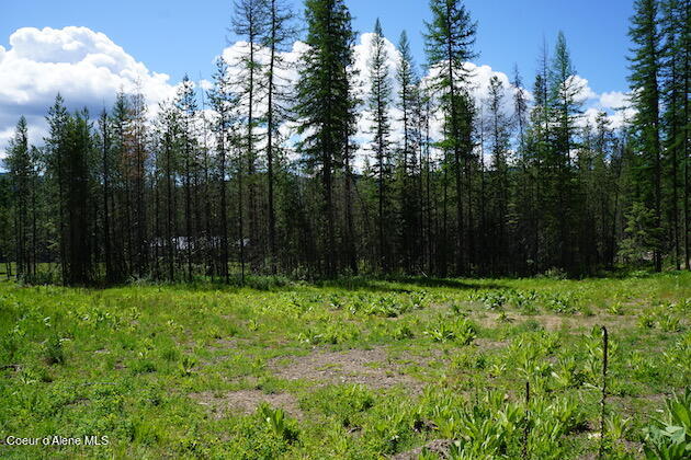 NKA Meadowland Drive, Blanchard, Alaska image 22