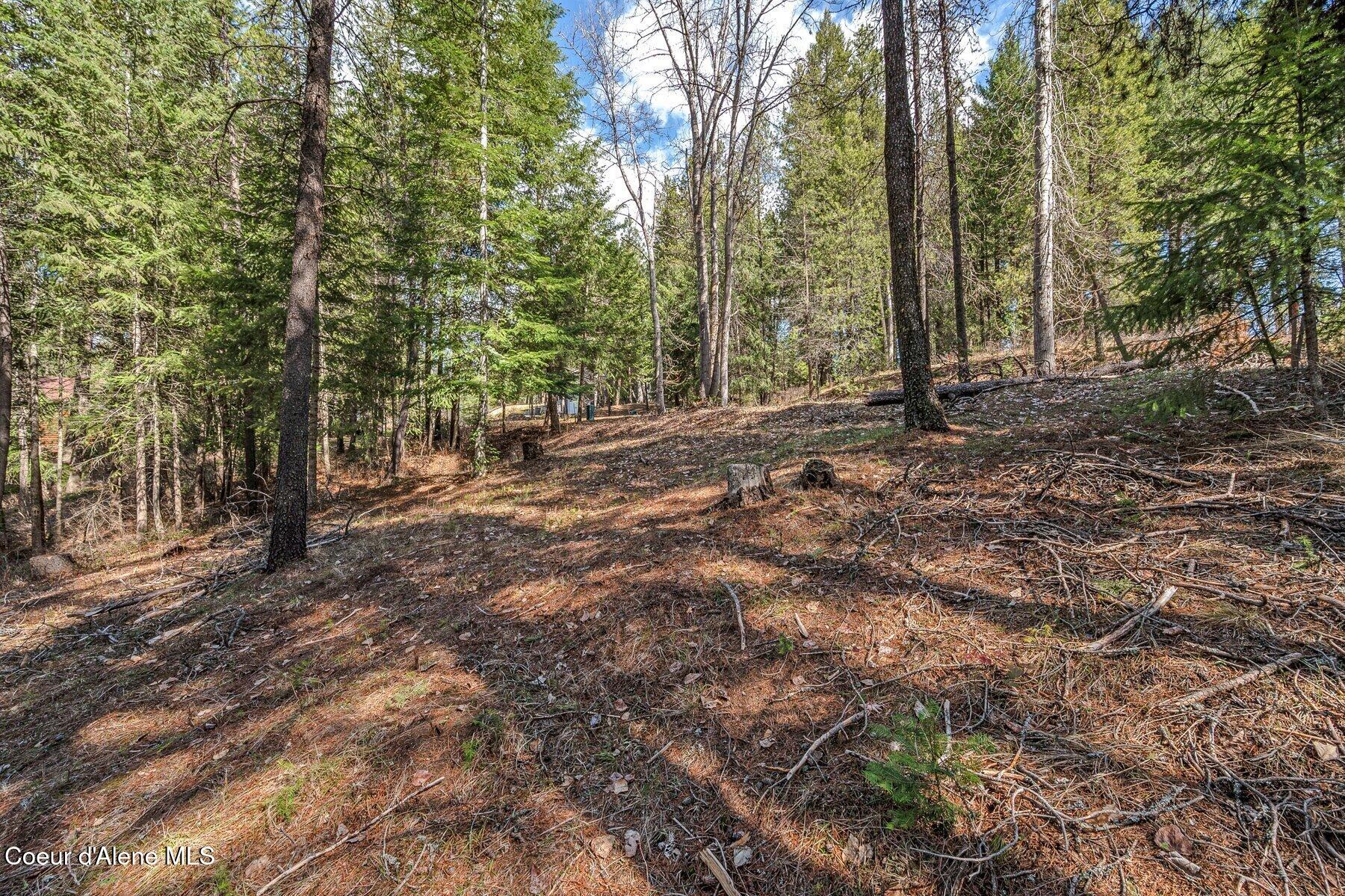 NNA Hanaford Rd., Blanchard, Idaho image 22