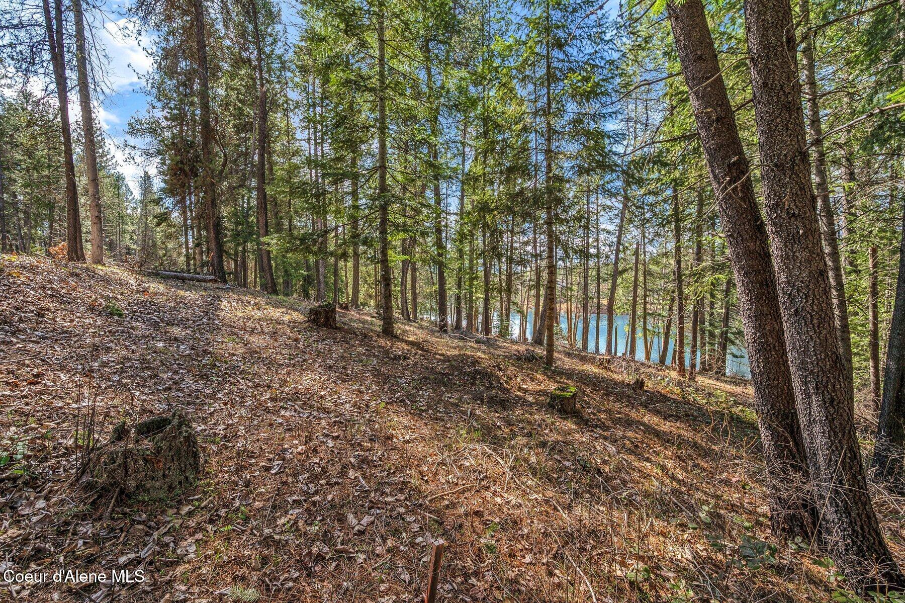 NNA Hanaford Rd., Blanchard, Idaho image 17
