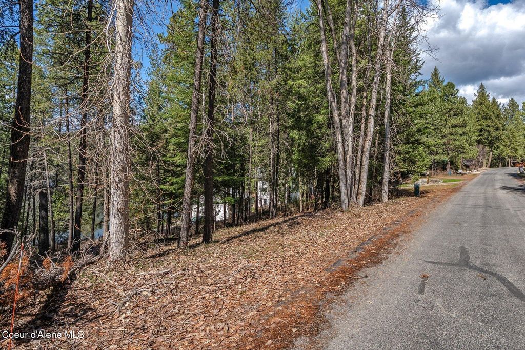 Photo of NNA Hanaford Rd (Lot 11), Blanchard, ID 83804 (MLS # 25-3096)