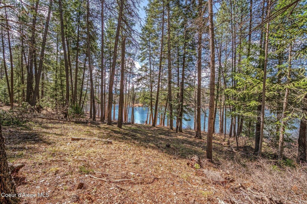 Photo of NNA Hanaford Rd (Lot 11), Blanchard, ID 83804 (MLS # 25-3096)