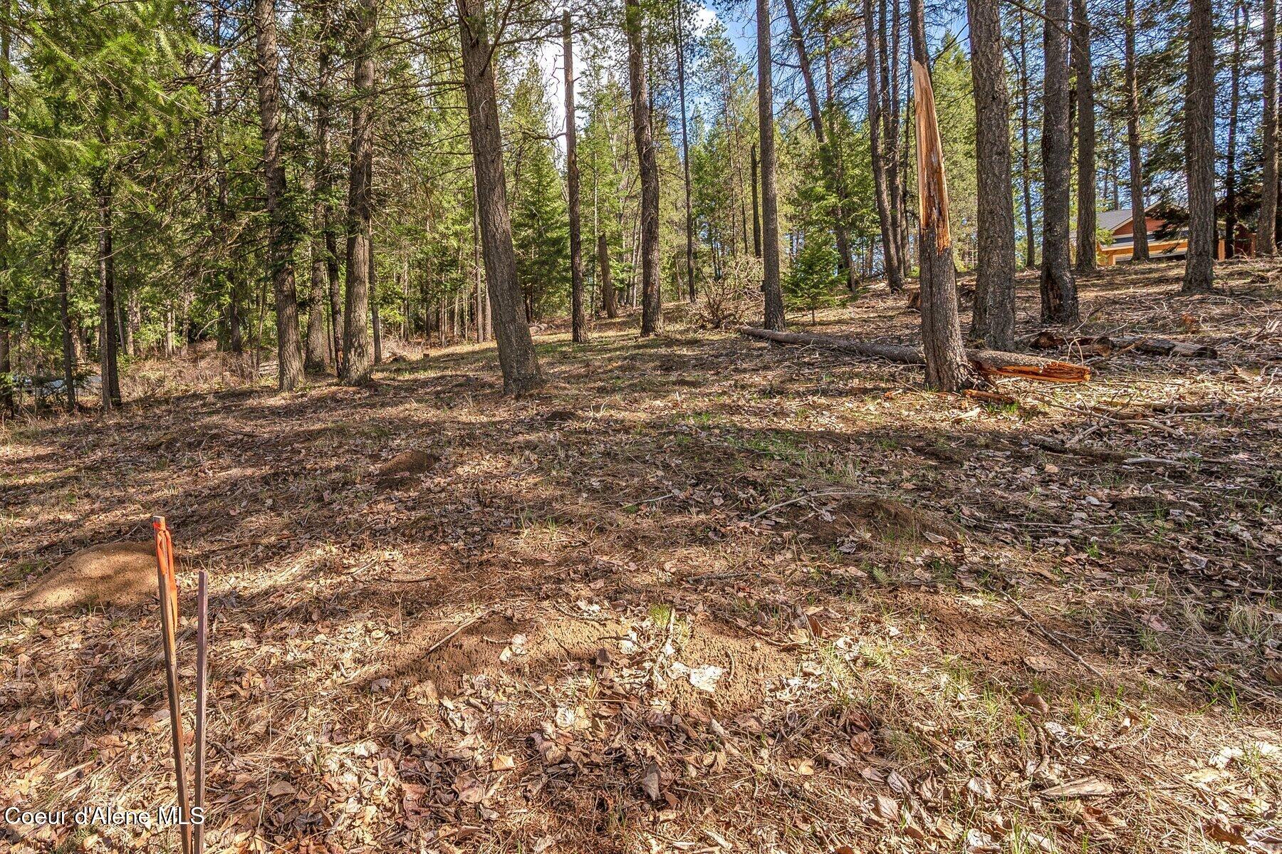 NNA Hanaford Rd., Blanchard, Idaho image 25