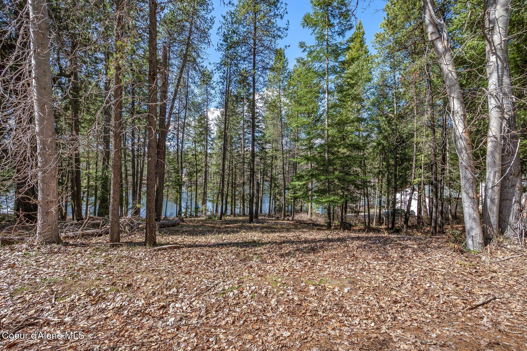NNA Hanaford Rd., Blanchard, Idaho image 24