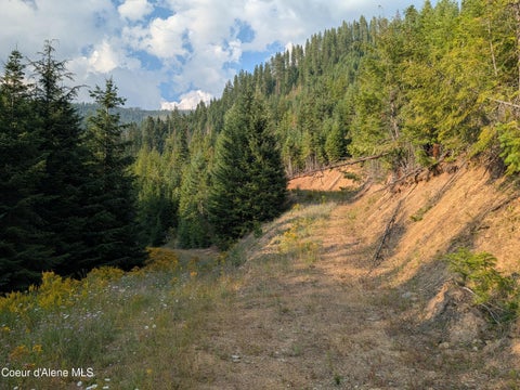 Vacant Land For Sale - NNA 20.02A Daisy Gulch<br/> Mullan, ID 83846