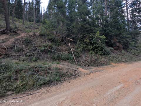Vacant Land For Sale - NNA 20.02A Daisy Gulch<br/> Shoshone County, Mullan, ID 83846