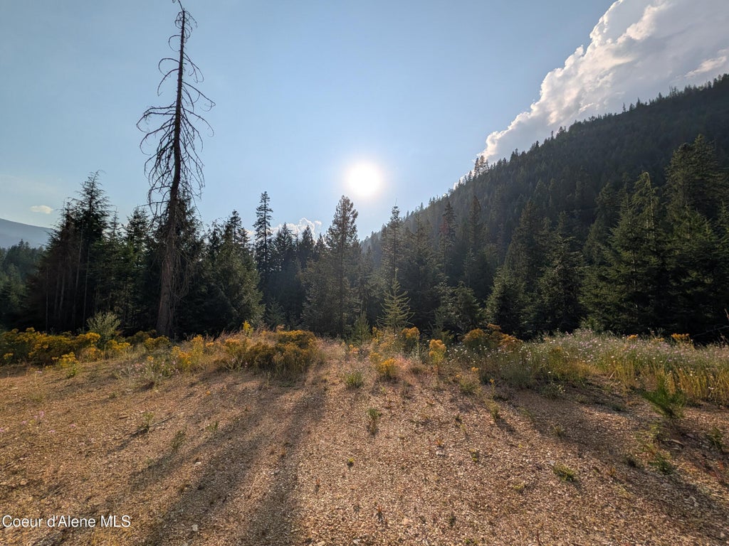 Photo of NNA 20.02a Daisy Gulch, Mullan, ID 83846 (MLS # 26-8327)