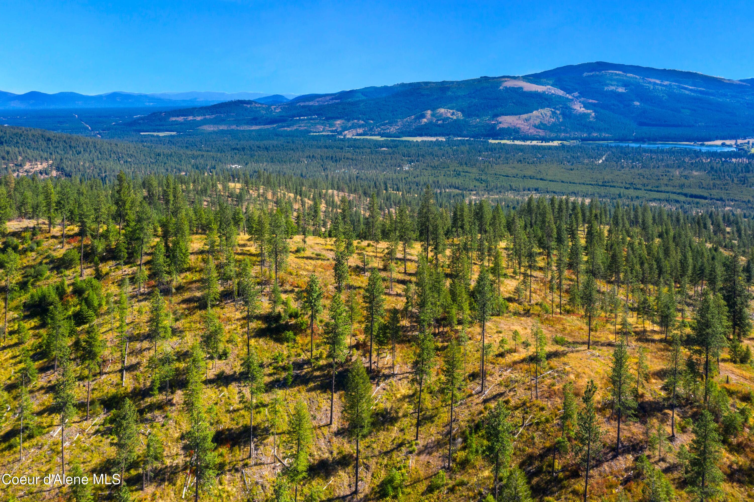 NNA Stone Rd Lot 1, Blanchard, Idaho image 17