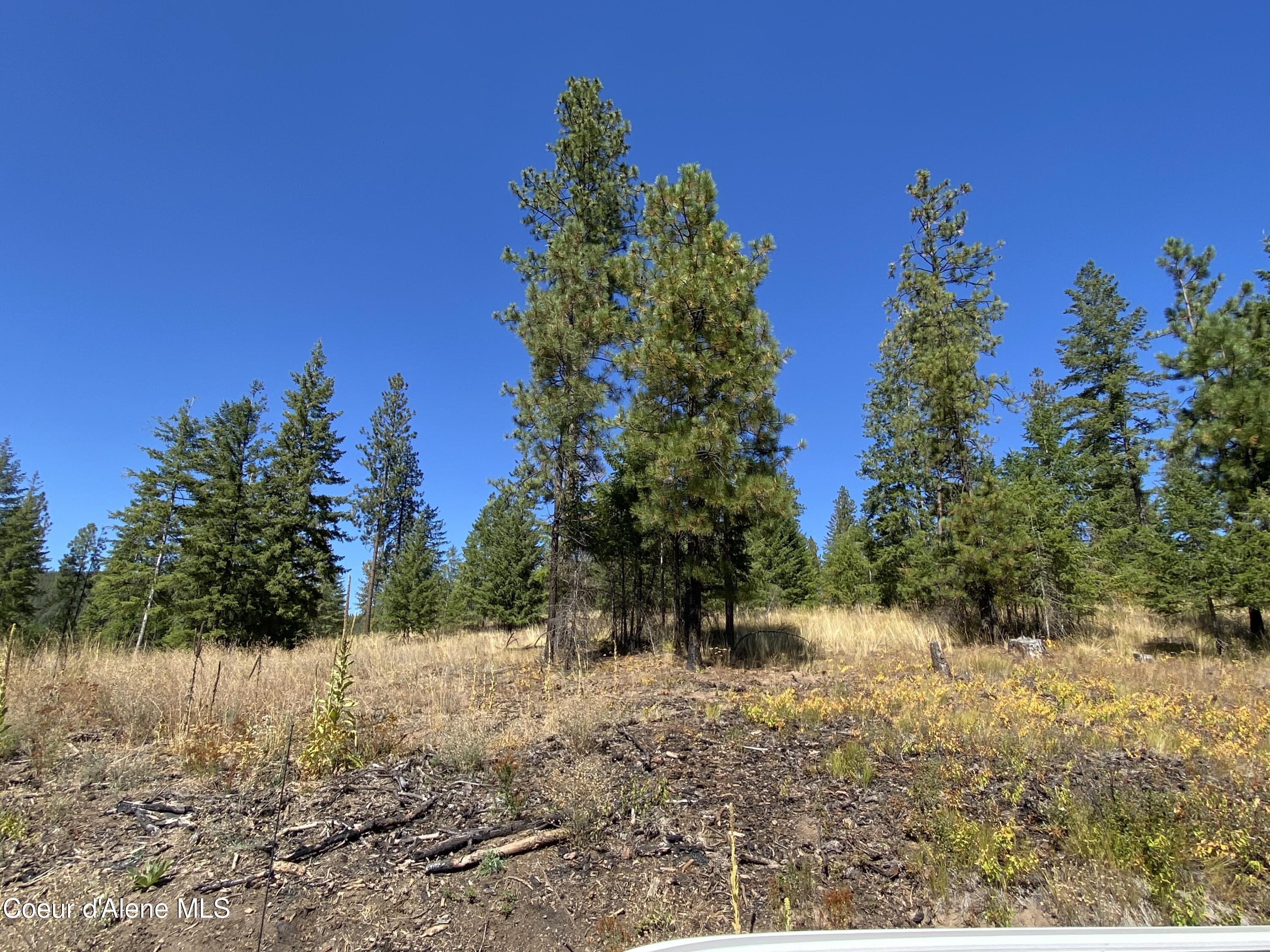 NNA Stone Rd Lot 1, Blanchard, Idaho image 5