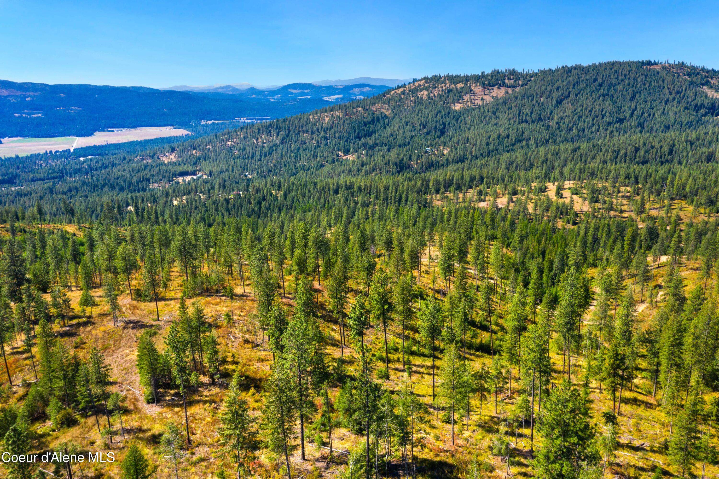 NNA Stone Rd Lot 1, Blanchard, Idaho image 10