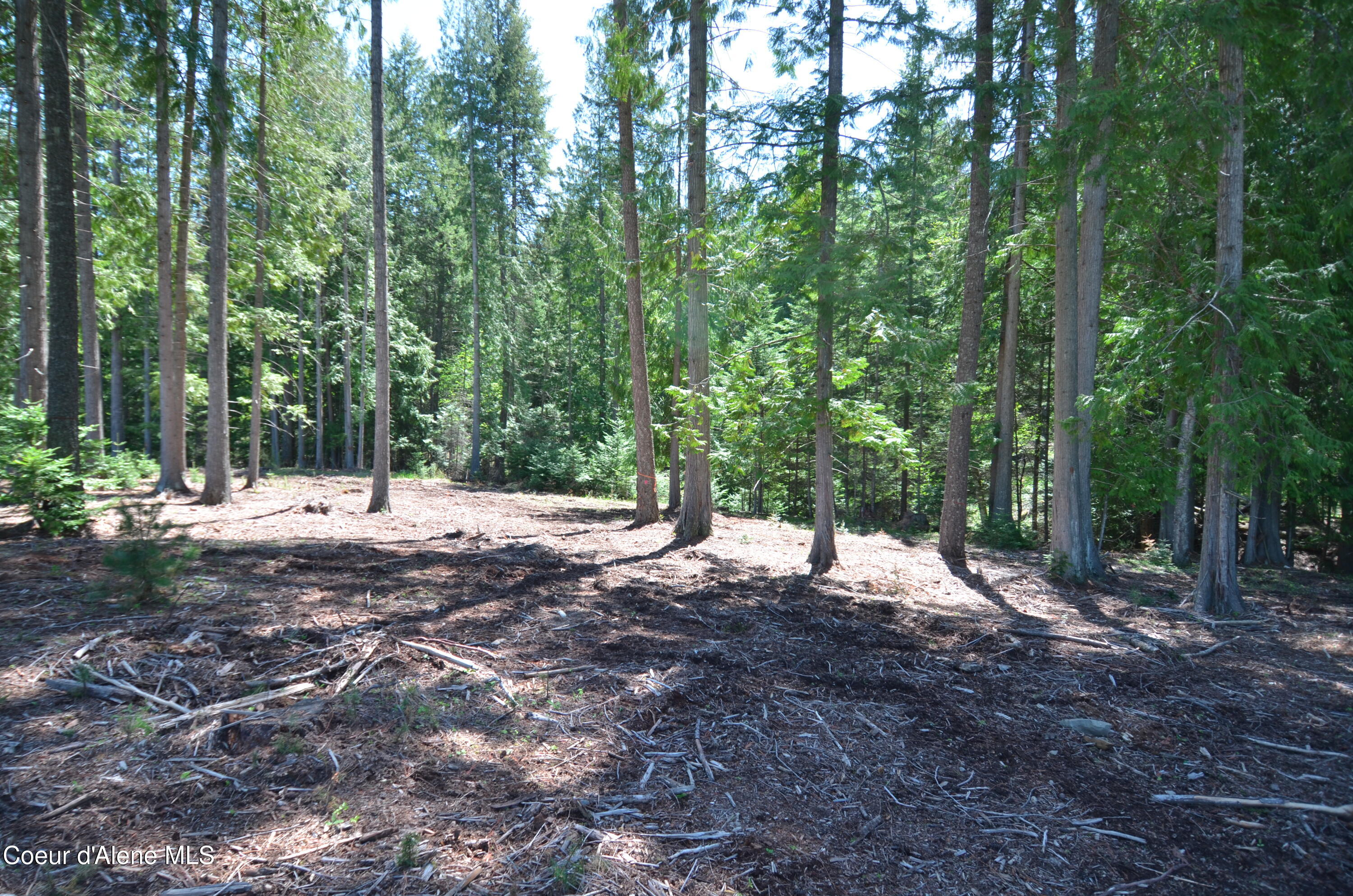 Est Lot 5 Camp Bay Estates Ave, Sagle, Pennsylvania image 4