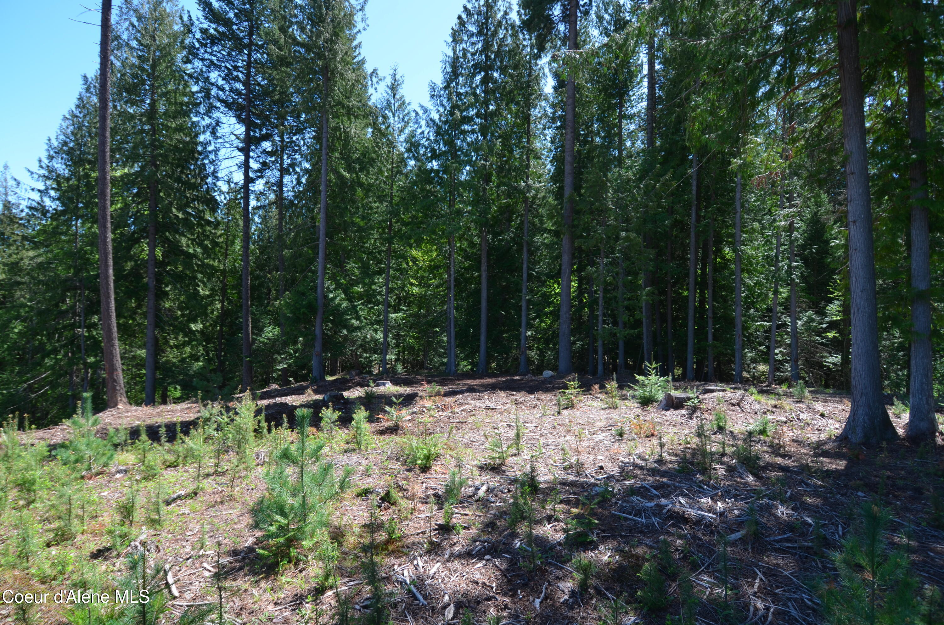 Est Lot 5 Camp Bay Estates Ave, Sagle, Pennsylvania image 9