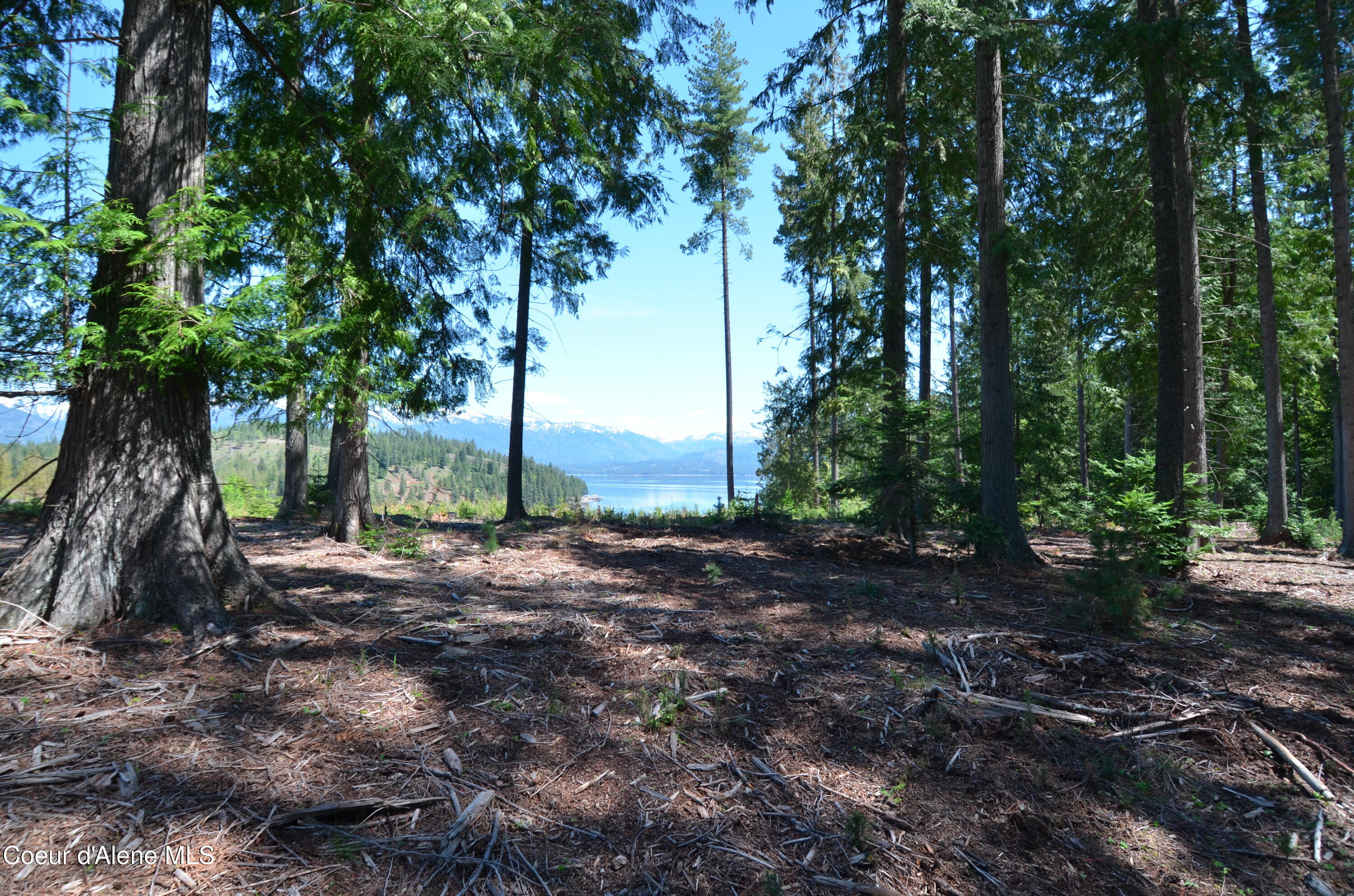 Est Lot 5 Camp Bay Estates Ave, Sagle, Pennsylvania image 5
