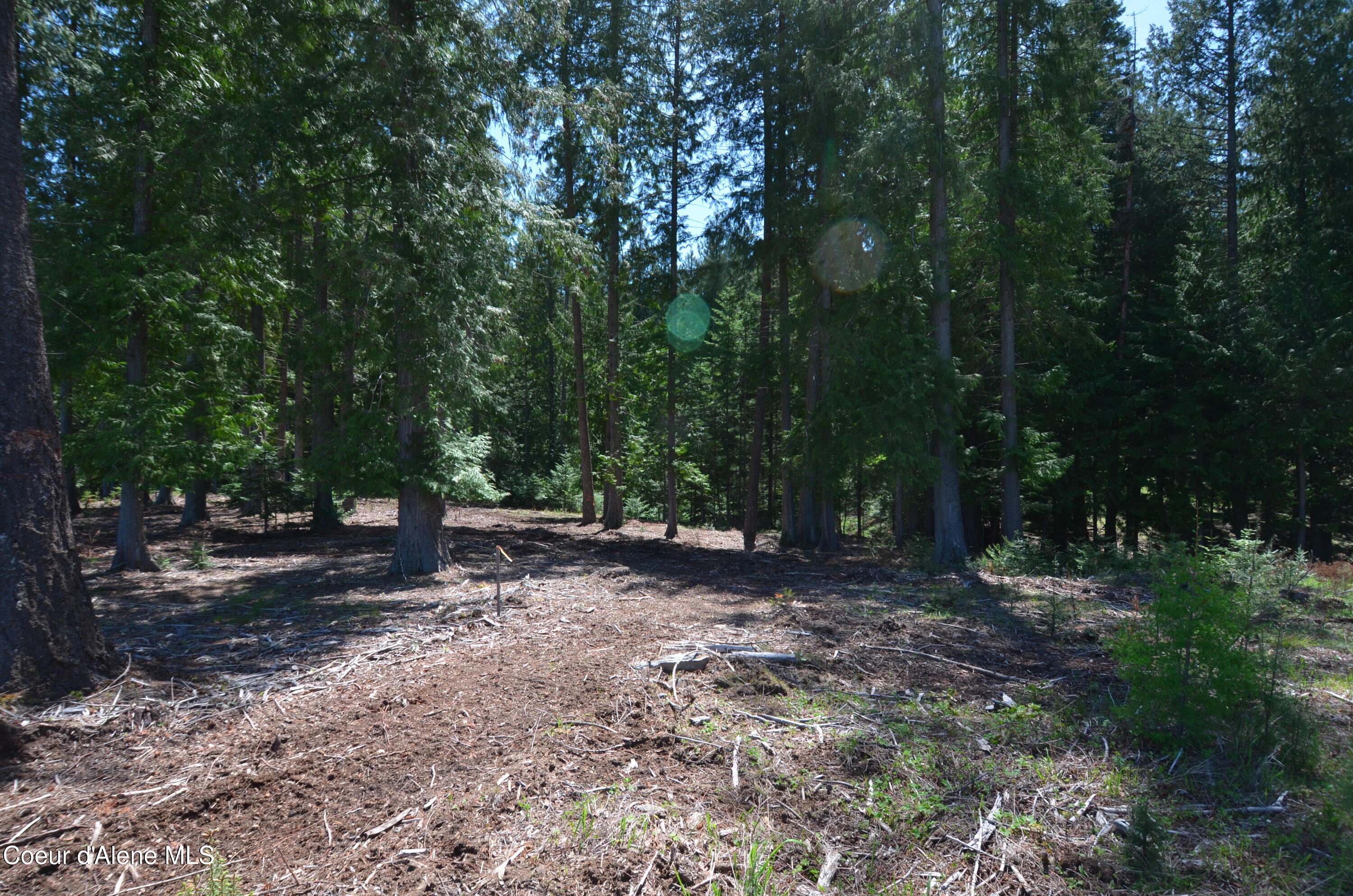 Est Lot 5 Camp Bay Estates Ave, Sagle, Pennsylvania image 7