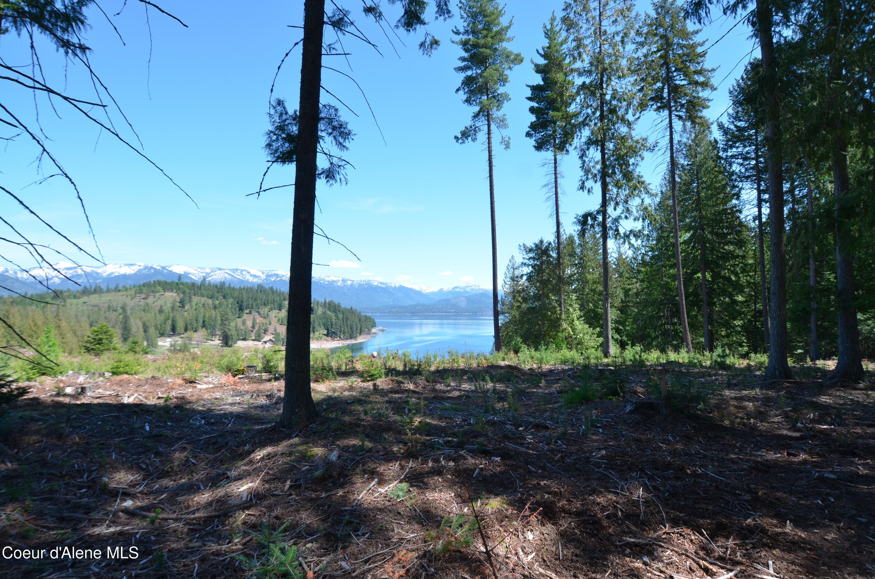 Est Lot 5 Camp Bay Estates Ave, Sagle, Pennsylvania image 8