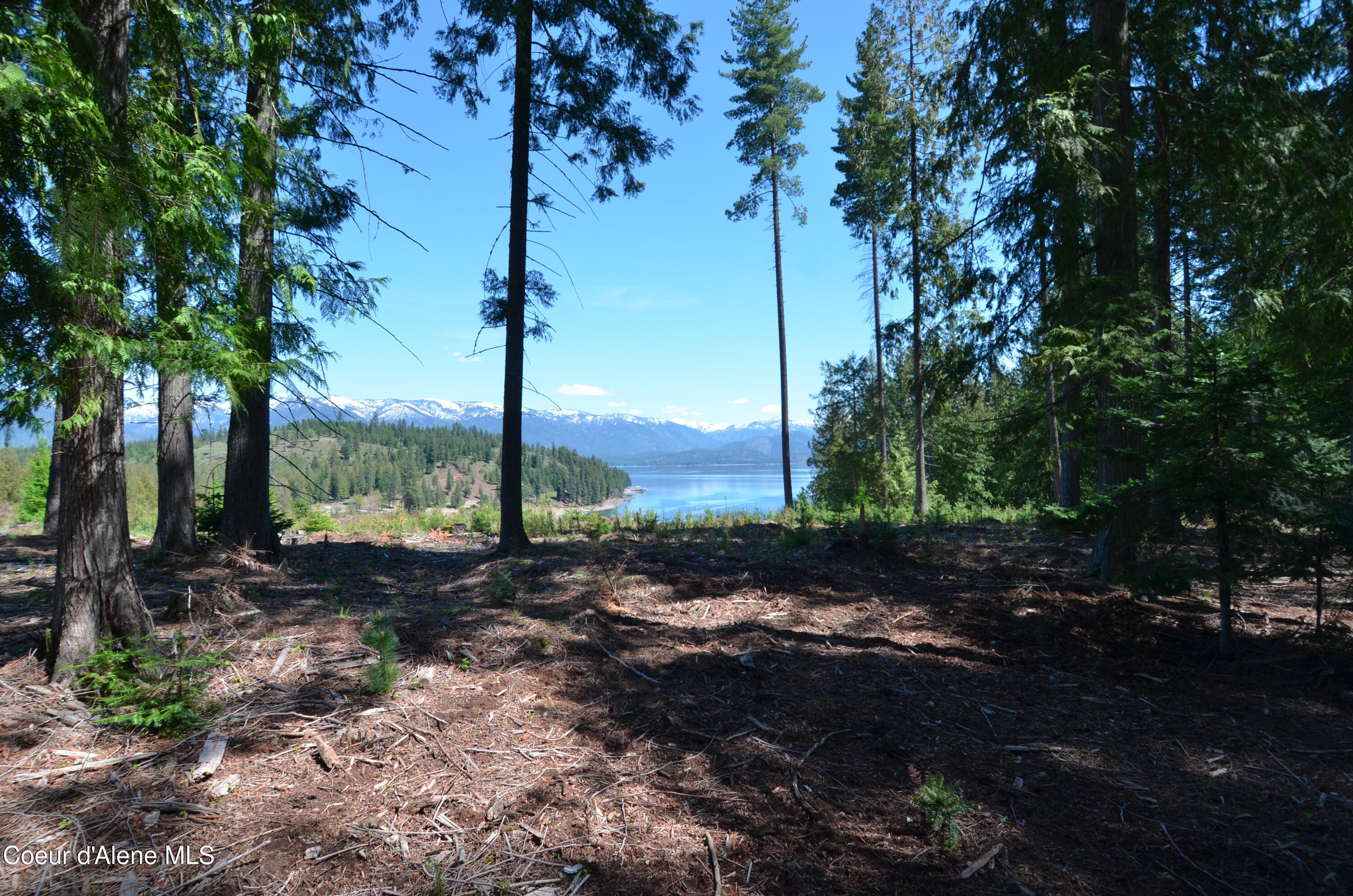 Est Lot 5 Camp Bay Estates Ave, Sagle, Pennsylvania image 6