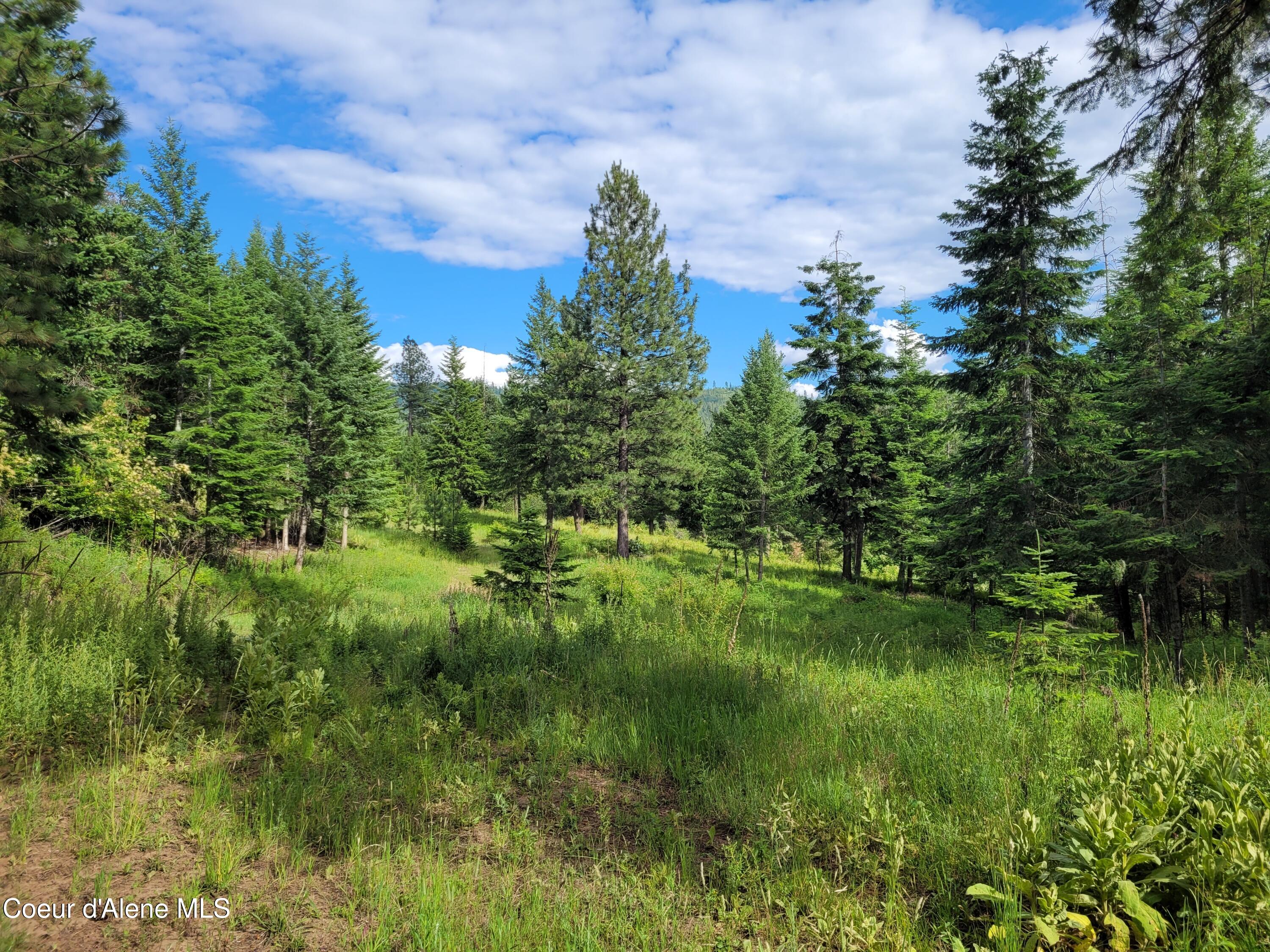 NKA S Skyview Rd, Harrison, Idaho image 7