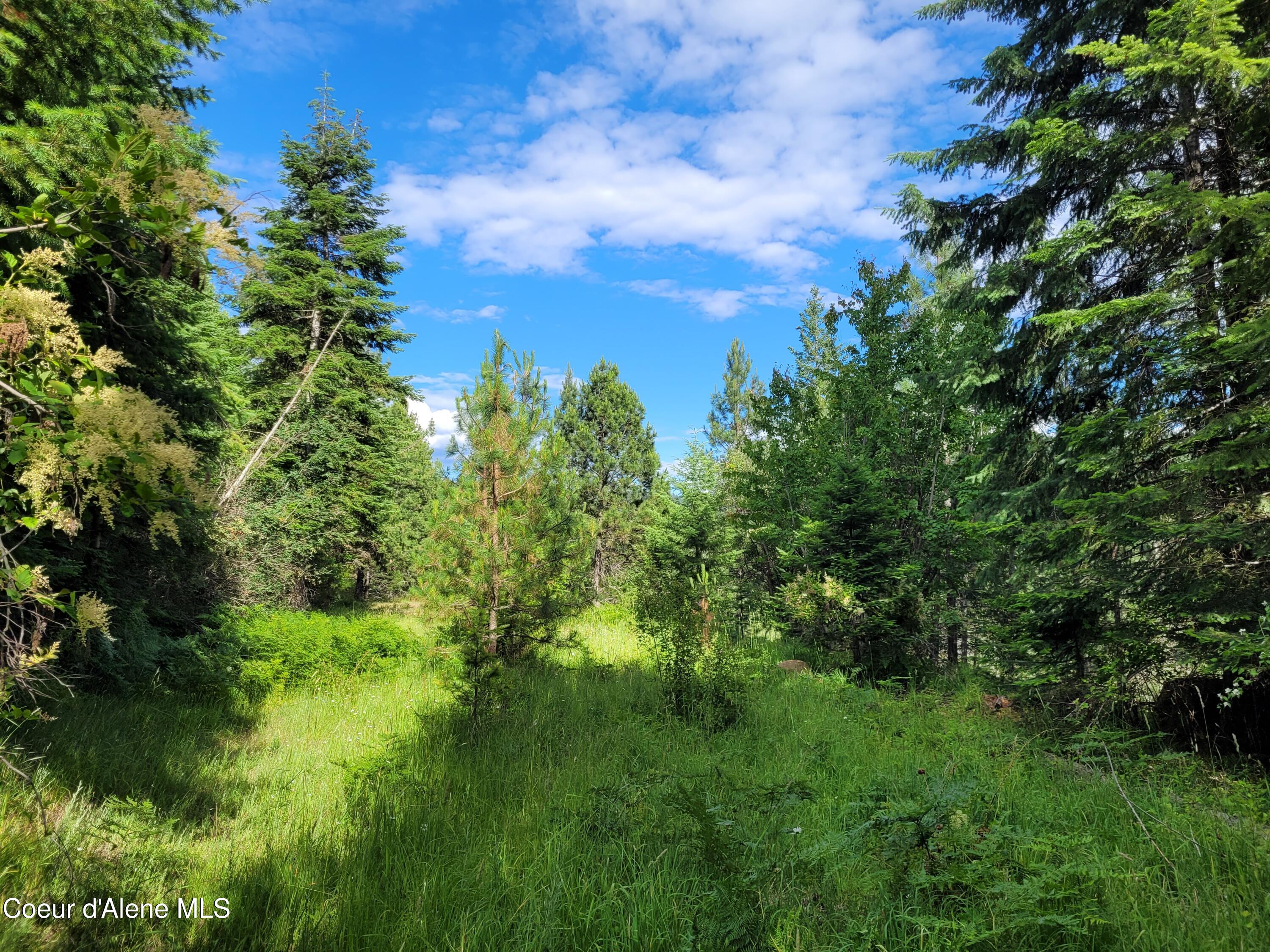 NKA S Skyview Rd, Harrison, Idaho image 20