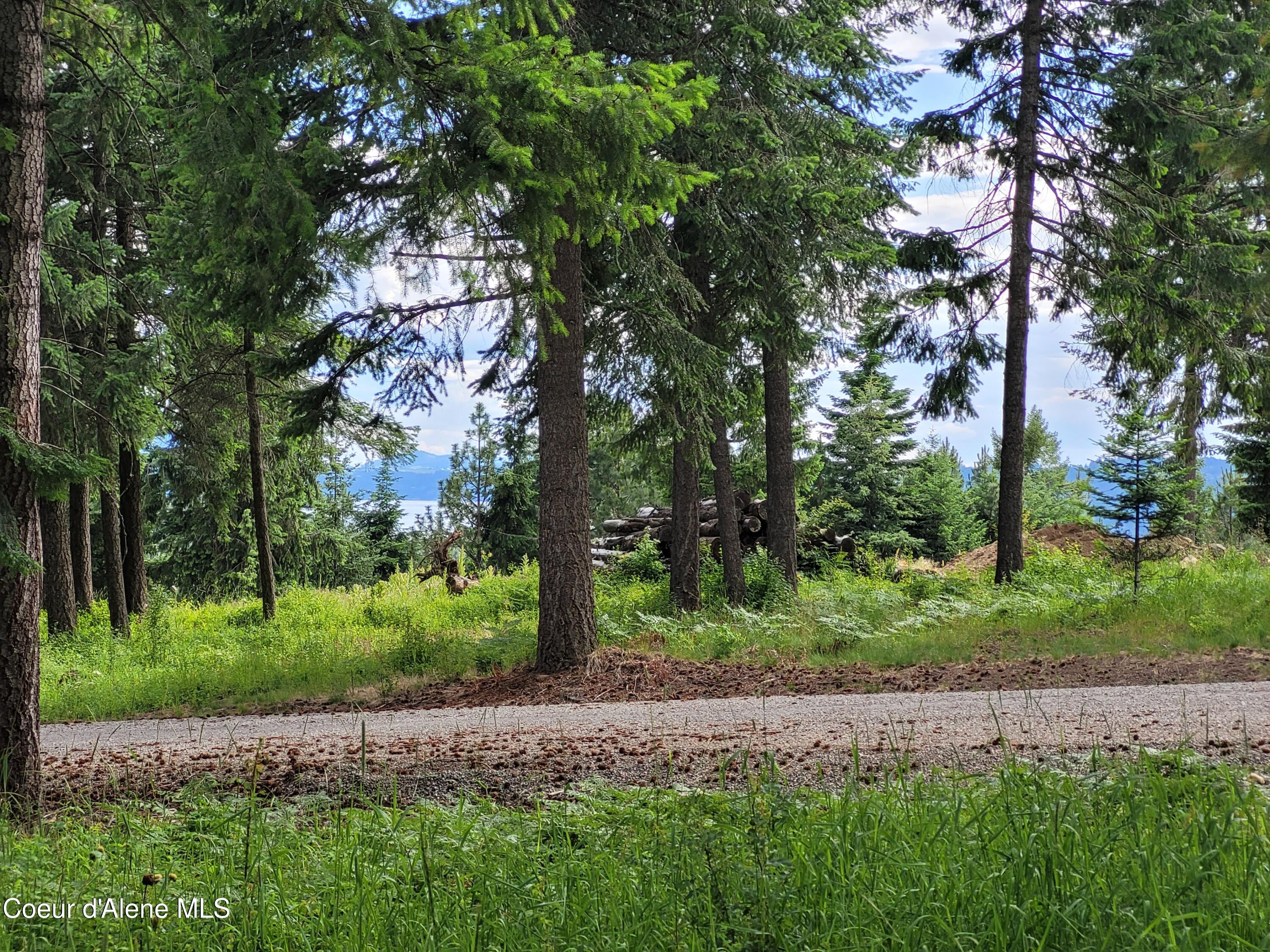 NKA S Skyview Rd, Harrison, Idaho image 1