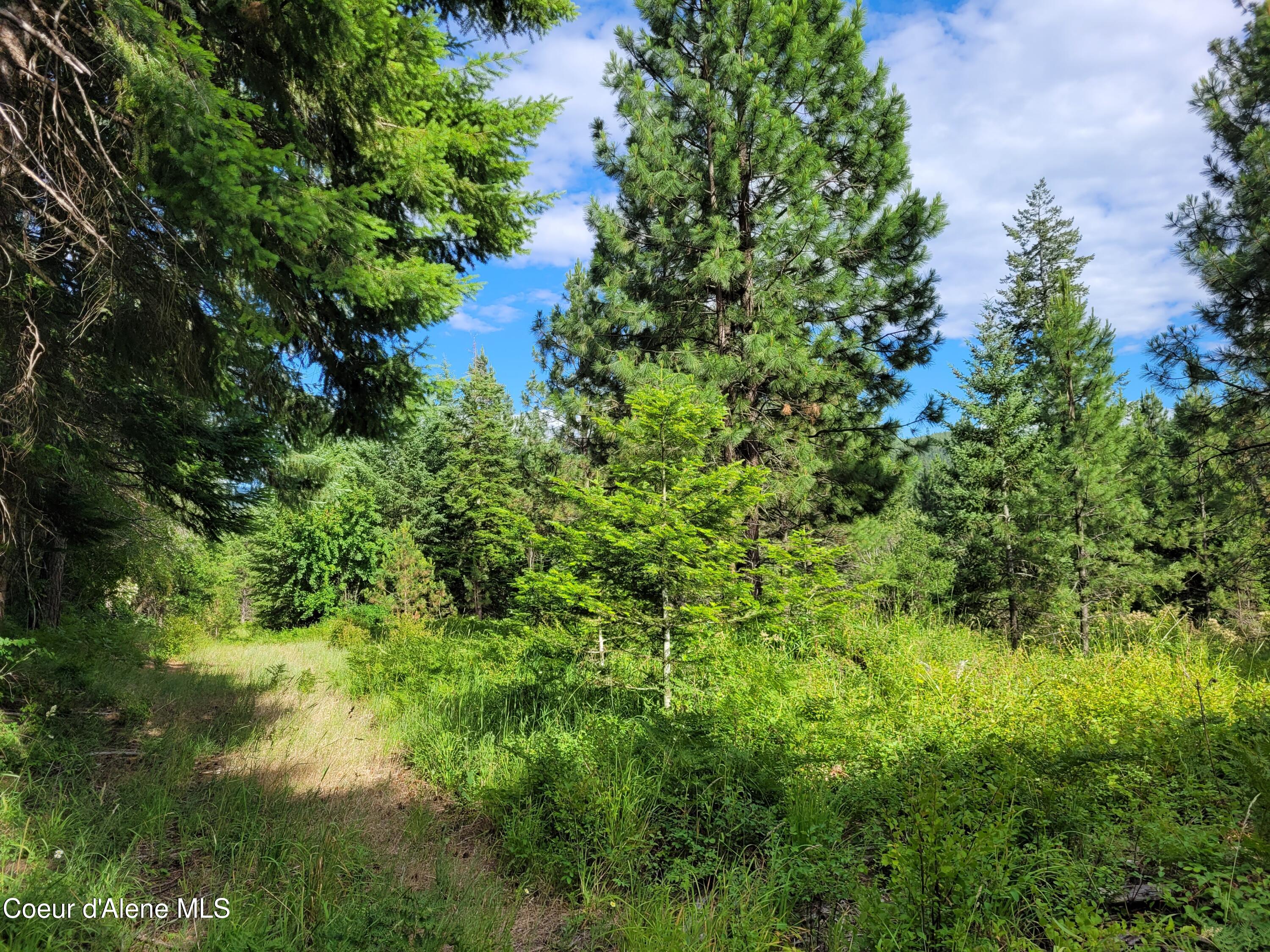 NKA S Skyview Rd, Harrison, Idaho image 22