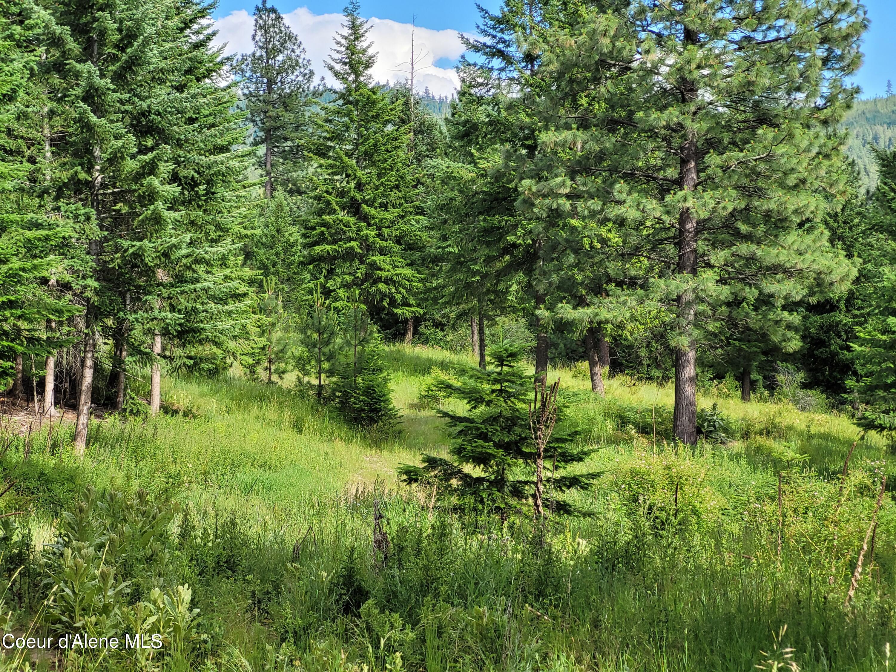 NKA S Skyview Rd, Harrison, Idaho image 3