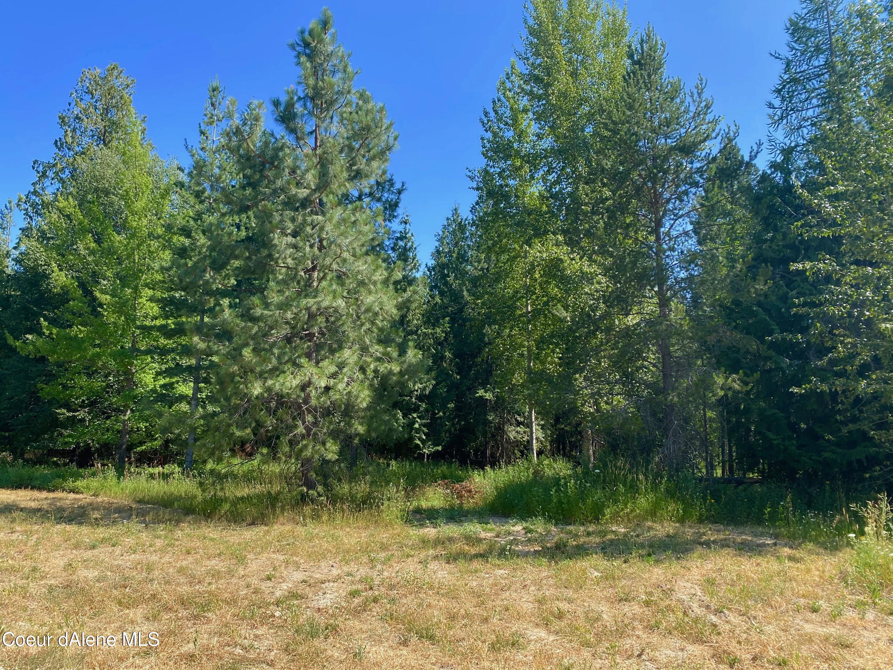 Lot 5 Blk2a Dover Bay Estuary Forest, Dover, Idaho image 6