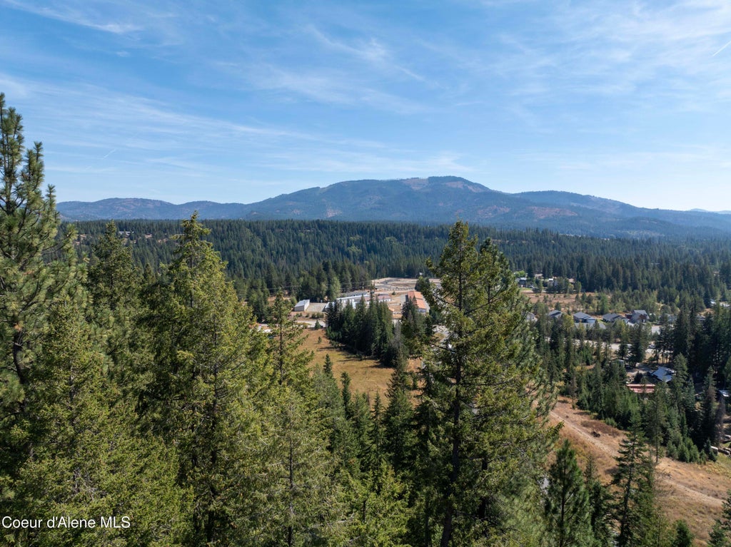 Photo of Lot 2 Two River River, Priest River, ID 83856 (MLS # 26-8927)