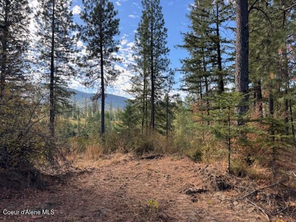 Photo of NKA Parcel 2 Dole Camp Road Road, Tensed, ID 83870 (MLS # 25-10079)