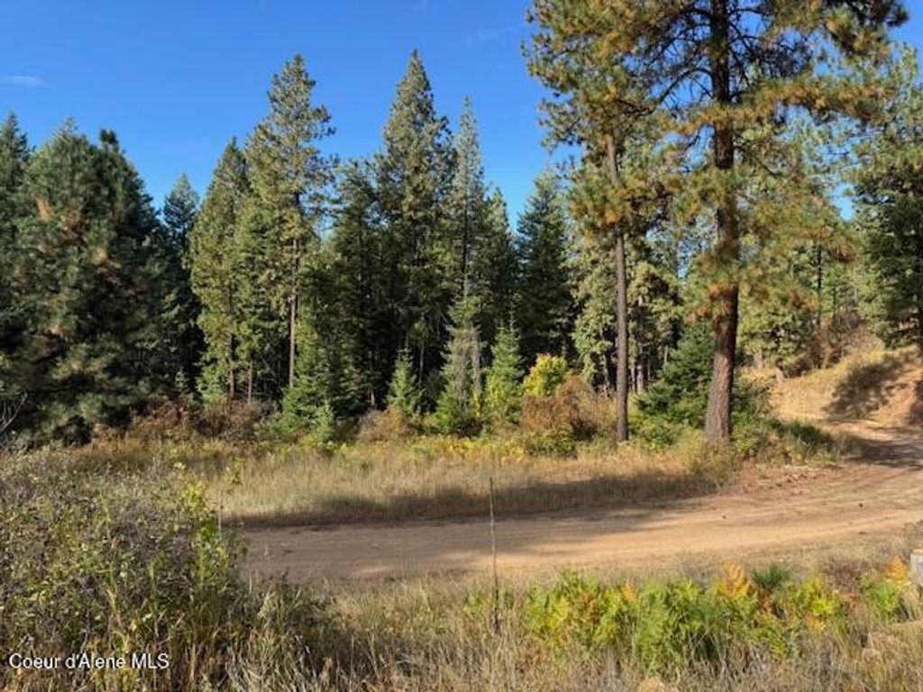 Photo of NKA Parcel 2 Dole Camp Road Road, Tensed, ID 83870 (MLS # 25-10079)