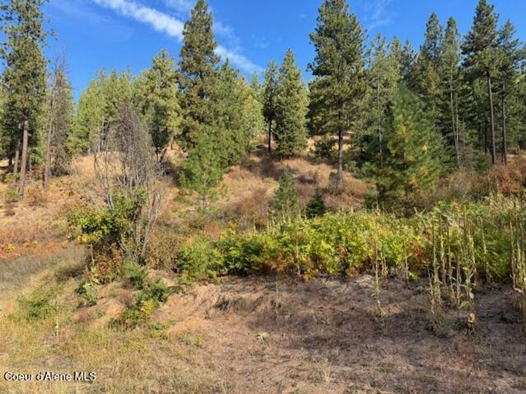 Photo of NKA Parcel 2 Dole Camp Road Road, Tensed, ID 83870 (MLS # 25-10079)