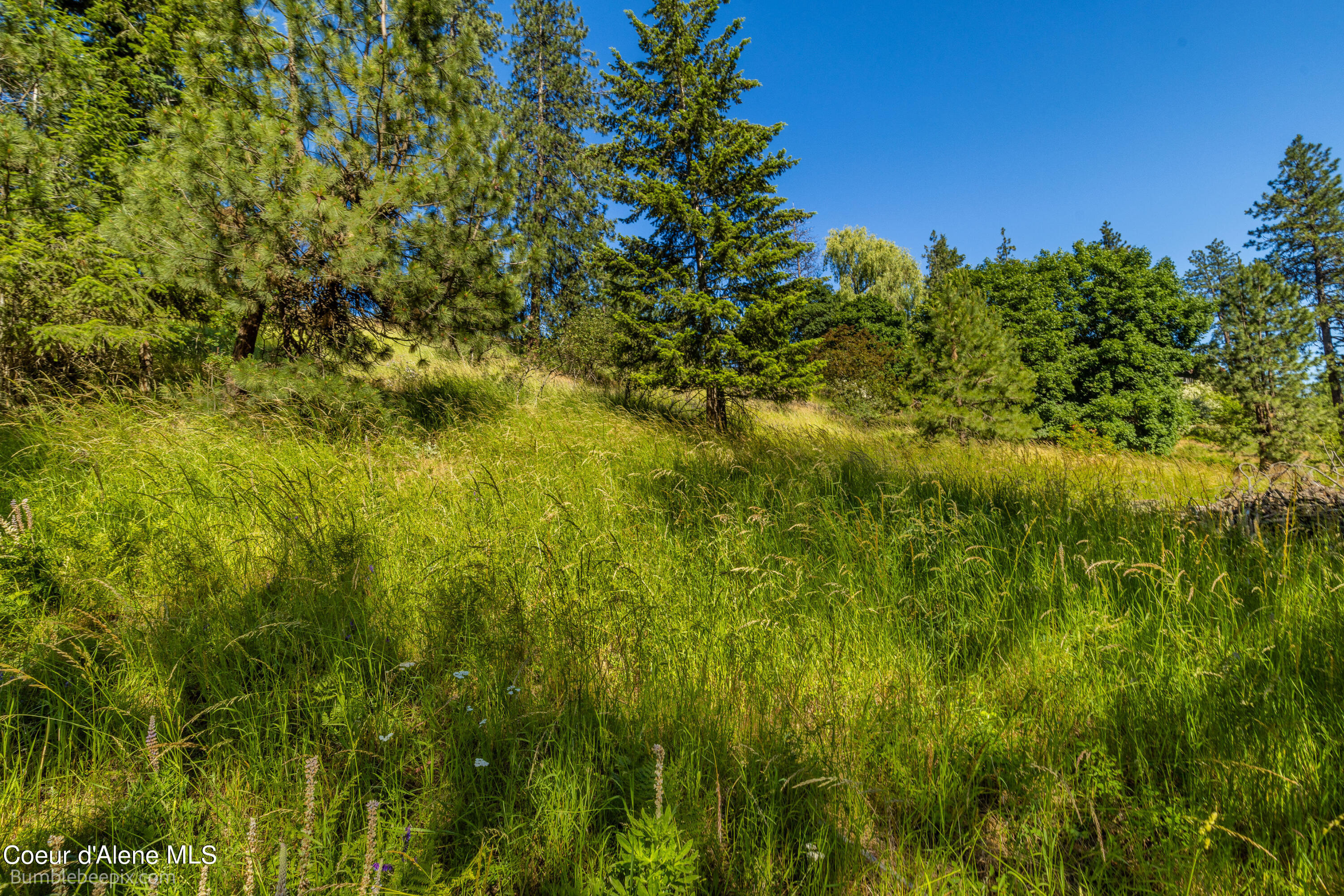 686 & 750 N Lilac Ln, Coeur d'Alene, Texas image 21